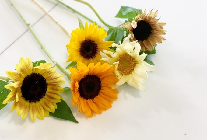 米子市の花屋 ワンセンス Onesense ワンセンスは鳥取県米子市にある花屋 です お花１本からギフト ブライダル 生花祭壇までお花のことならどんなことでもご相談ください